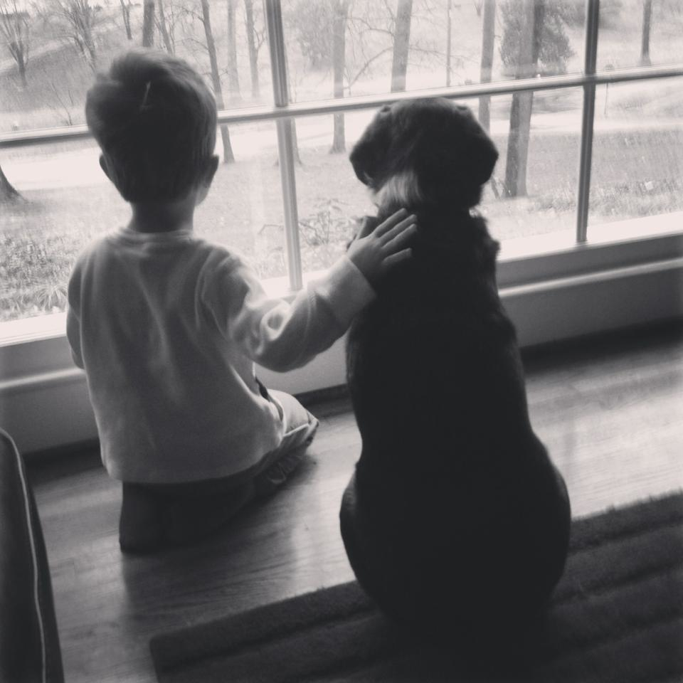 Boy and dog looking out window, with boy's hand on dog